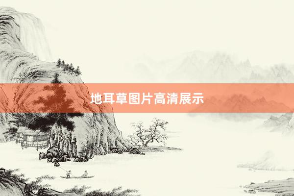 地耳草图片高清展示