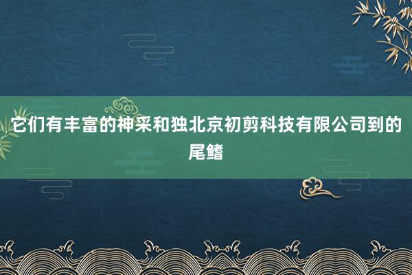 它们有丰富的神采和独北京初剪科技有限公司到的尾鳍