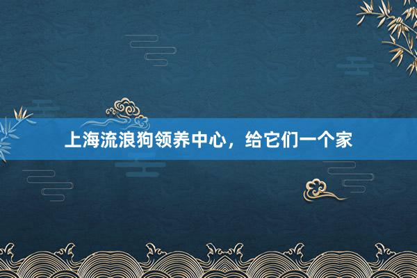 上海流浪狗领养中心,给它们一个家